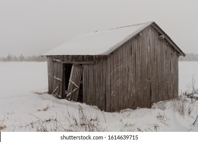 An old barn house stands on a field during a snow storm at the rural Finland. The barn doors are hanging loose and the building seems to be abandoned.