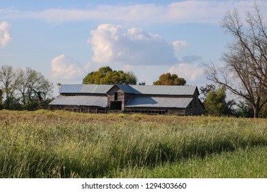 Old Barn On Farm In Headland Alabama 