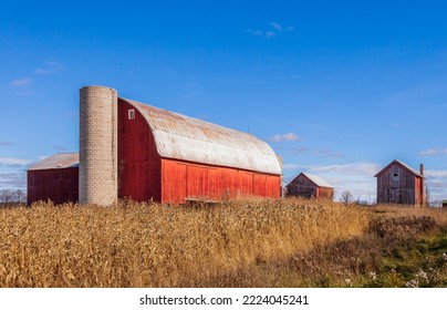 Old Barn Surrounded by Corn