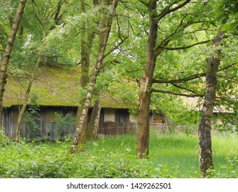 Barn In The Woods Images Stock Photos Vectors Shutterstock