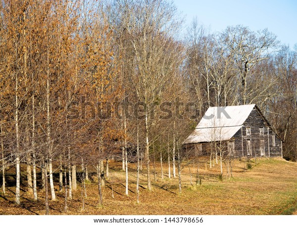 Old Barn Woods Stock Photo Edit Now 1443798656