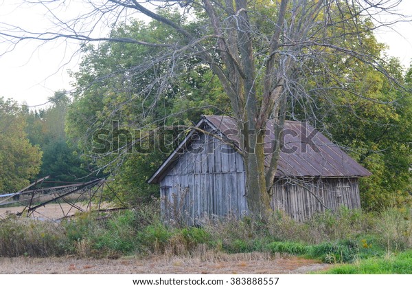 Old Barn Woods Stock Photo Edit Now 383888557