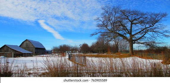 Old Barns And A Large Oak Tree In Winter, With Snow Covered Fields, A Blue Sky And Wispy White Clouds In Prince Edward County, Ontario, Canada