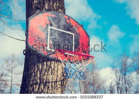 old basketball hoop on the tree