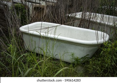 Old Bathtub