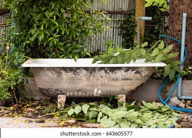 An Old Bathtub Was Left Behind.