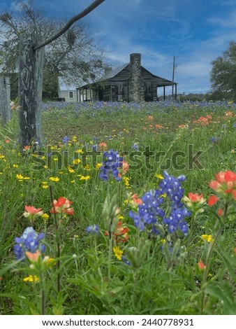 Old Baylor Park in the Spring
