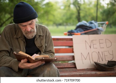 Old Beardy Man With No Home Reading A Book. Homeless Male Reading, Begging For Money On Card Board.