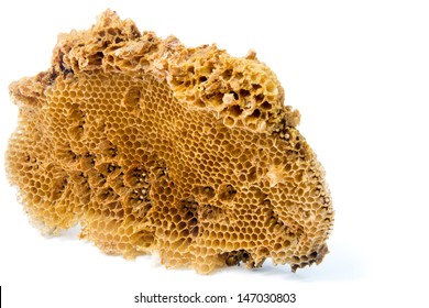 Old Bee Nest On White Background