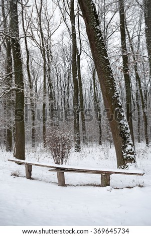 Old bench in the forest covered by first snow