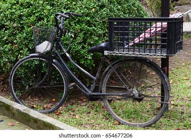 bike with basket and back seat