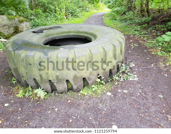 Old big tire lies on the\
ground