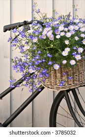 Old Bike With Basket Of Flowers.