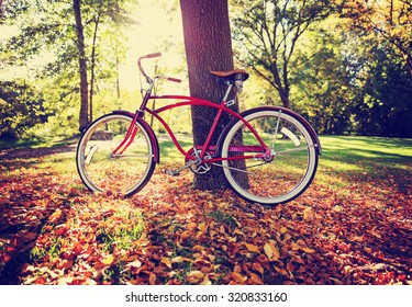 bicycle in a tree