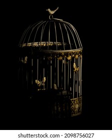 old birdcage in a black background