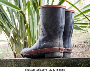 Old Black Gumboots. Low Angle View.