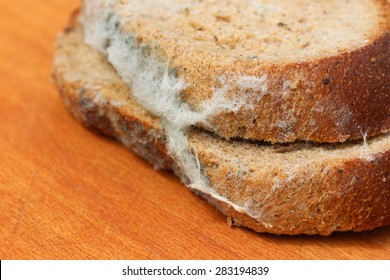 Old black mold on bread. Spoiled food. 
