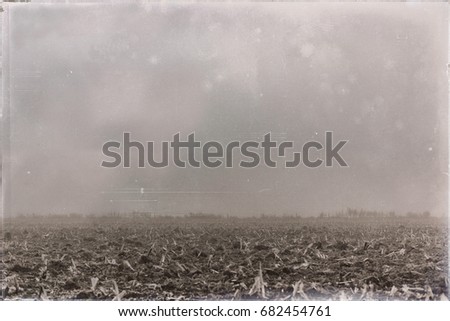 Foto Bild Nebellandschaft mit Maisfeld, Wiese, Zaun und Wald und Sonnenlicht