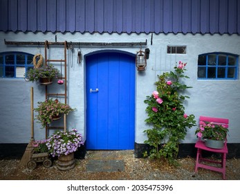 Old Blue Barn Door, Roses