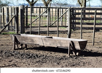 Old Blue Trough Inside A Barn.