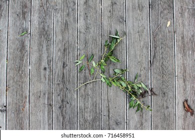 Old boards background