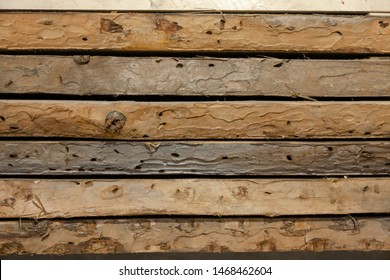 Old boards has been eaten by woodworm