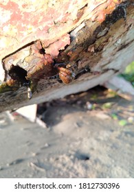 Old Boat Hull And Drip Paint Trang