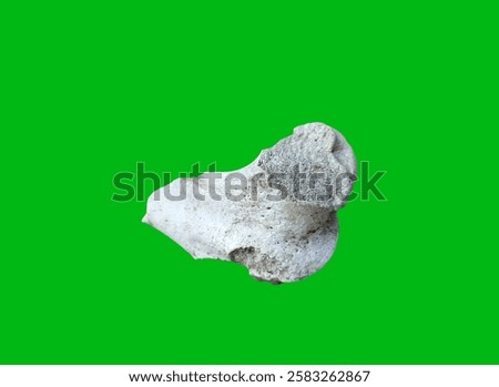 Similar – Image, Stock Photo Die and become! | The seed of the new is still wrapped in the old protective mantle | Awakening | Spring.