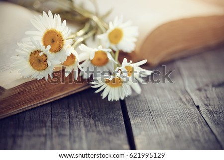 The old book and bouquet of camomiles lie on a wooden table.