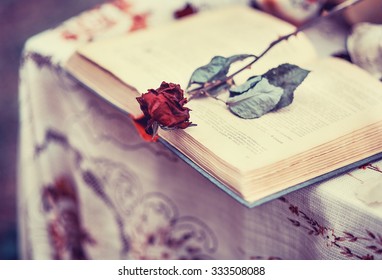 Old book, and a dried red rose, vintage, loneliness, memories, romance, historical romance, closeup - Shutterstock ID 333508088