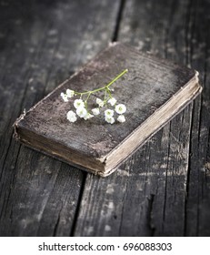 Old Book And Flower Branches