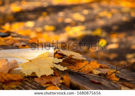 an old book is lying on a bench with fallen leaves in the autumn Park