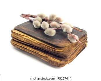 old book and pussy willows branches on a white background