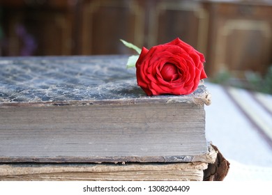 Old Book Rose Old Vintage Books Stock Photo (Edit Now) 1308204409