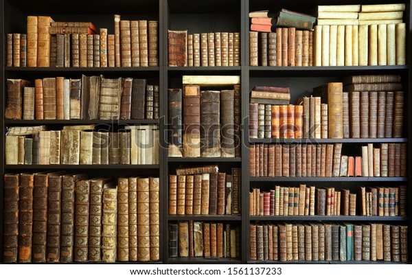 old books on wooden\
shelf