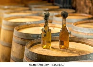 Old Bottles Of White Wine With Famous Black Mold In A Wine Cellar In Hungary