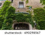 Old brick building facade covered with heavy green creepers