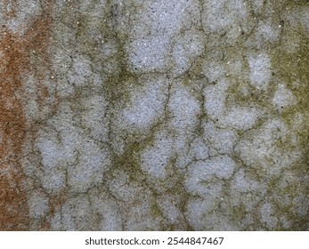 Old brick cement wall with moss growth and weathered net pattern finish - Powered by Shutterstock