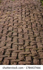 Old Brick Side Walk In An Old City Park