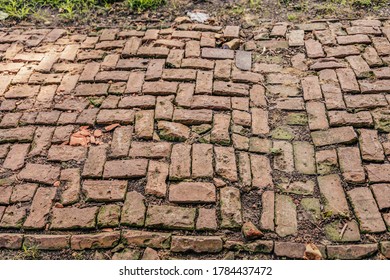 Old Brick Side Walk That Needs Some Repairs