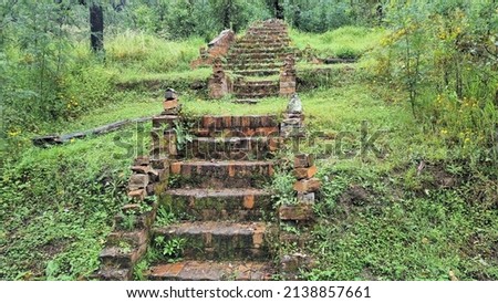 Old brick steps in the Newnes Industrial ruins overgrown in the Australian bush surrounded by trees and forest Stock photo © 