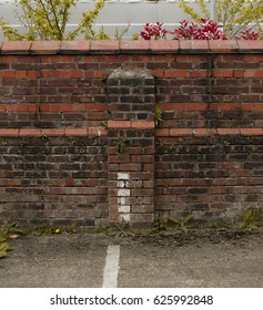 Old Brick Wall