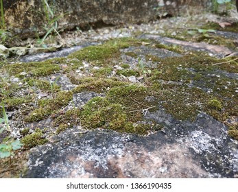 old brick wall background