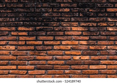 Old brick wall in the background. - Shutterstock ID 524189740
