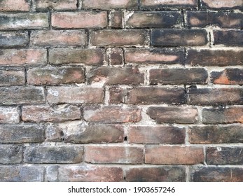 Old brick wall background immage