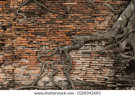 old brick wall in the forest with root tree ancient temple background