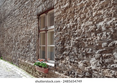 Old brick wall with window.