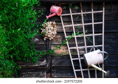 Old Brick And Wood Shed In The Garden