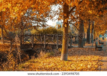 Old bridge in the autumn park. Beautiful autumn landscape with yellow trees and sun.