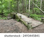 Old bridge, Millionaires Row, Gatlingburg, Tennessee